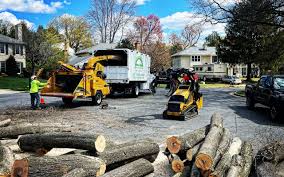 Best Lot and Land Clearing  in Fairfield, TX