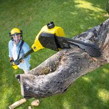 Best Utility Line Clearance  in Fairfield, TX