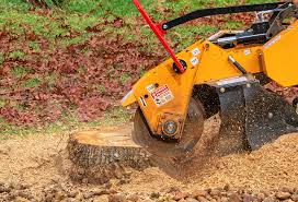 Best Fruit Tree Pruning  in Fairfield, TX