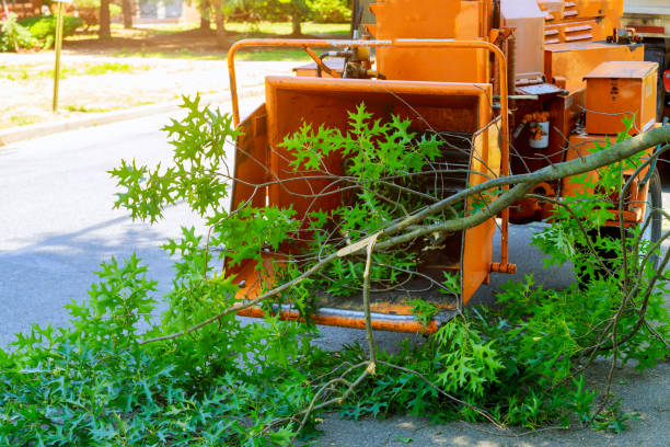 Soil Testing and Treatment in Fairfield, TX