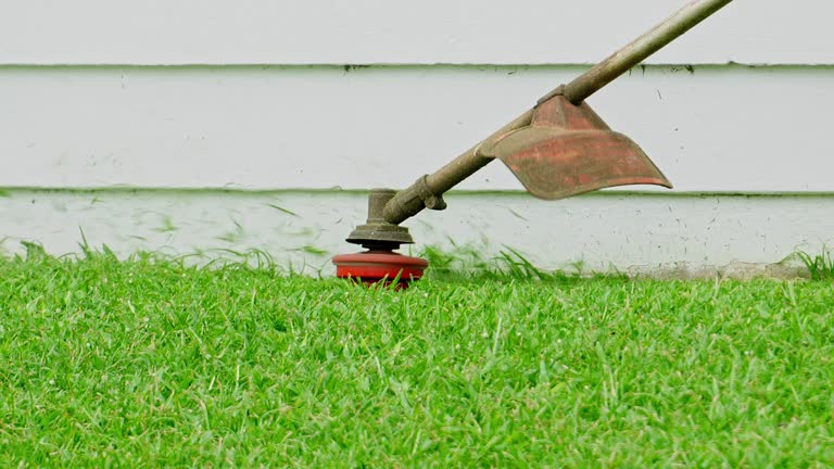 Best Hedge Trimming  in Fairfield, TX