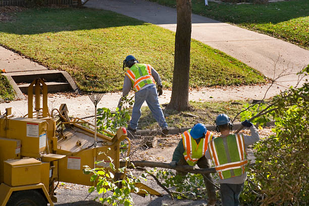 Best Lawn Maintenance Plans  in Fairfield, TX
